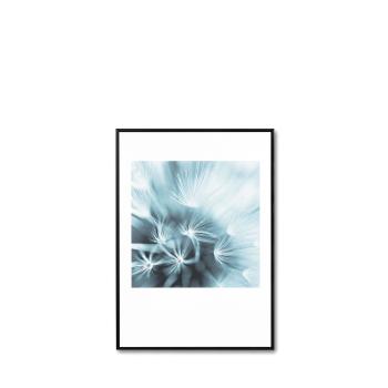 Cuadro Dandelion 3 50*70 Negro | Relax Muebles