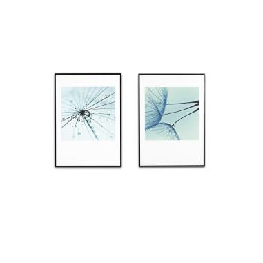 Cuadro Dandelion 3 50*70 Negro | Relax Muebles